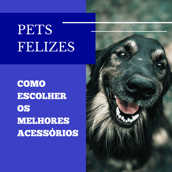 Pets Felizes, Donos Satisfeitos: Como Escolher os Melhores Acessórios